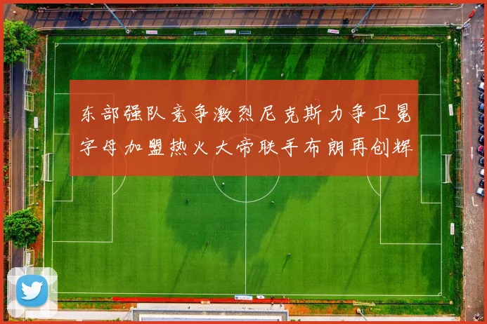 东部强队竞争激烈尼克斯力争卫冕字母加盟热火大帝联手布朗再创辉煌
